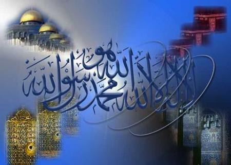  Les �motic�nes de Cheykh Zayd al Madkhali