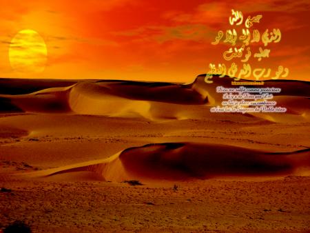 Les P�ch�s des Mains